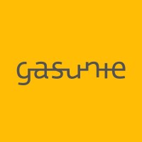 N.V. Nederlandse Gasunie logo